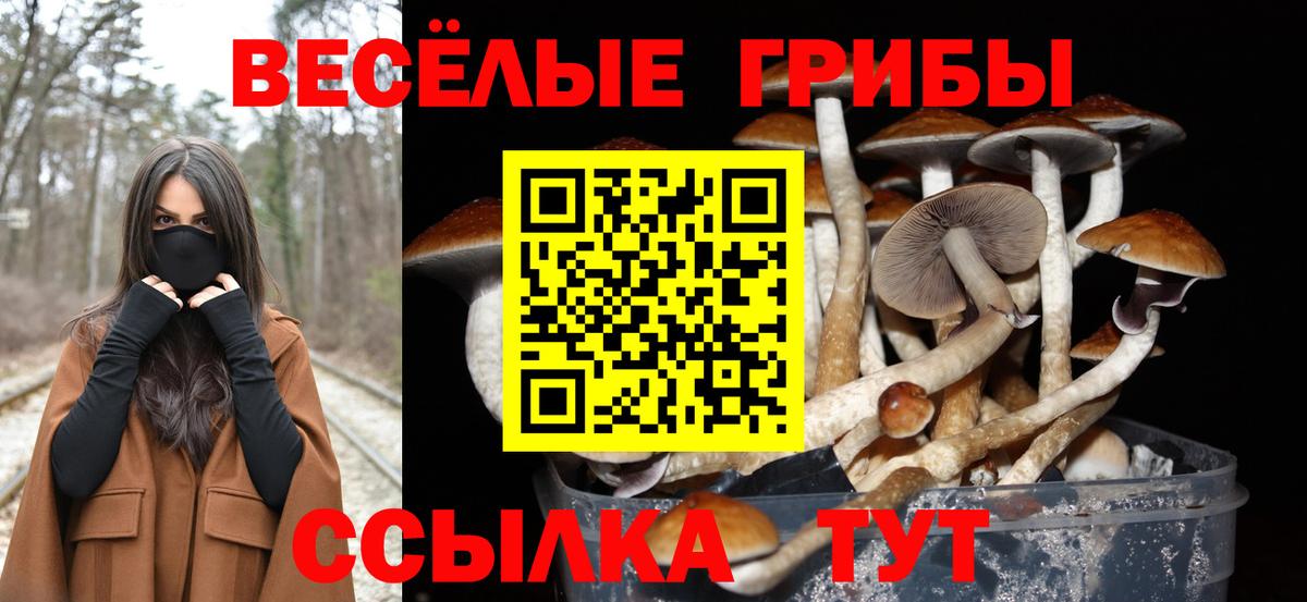 Галлюциногенные грибы Cubensis Югорск