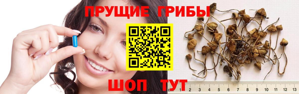 Югорск  Псилоцибиновые грибы мухоморы  Вход с VPN 