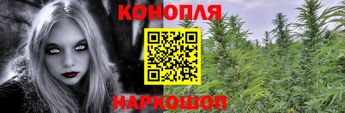 Бошки Шишки MAZAR Югорск